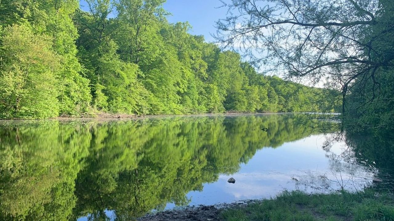 A Guide to Watchung’s Hidden Gardens and Green Spaces