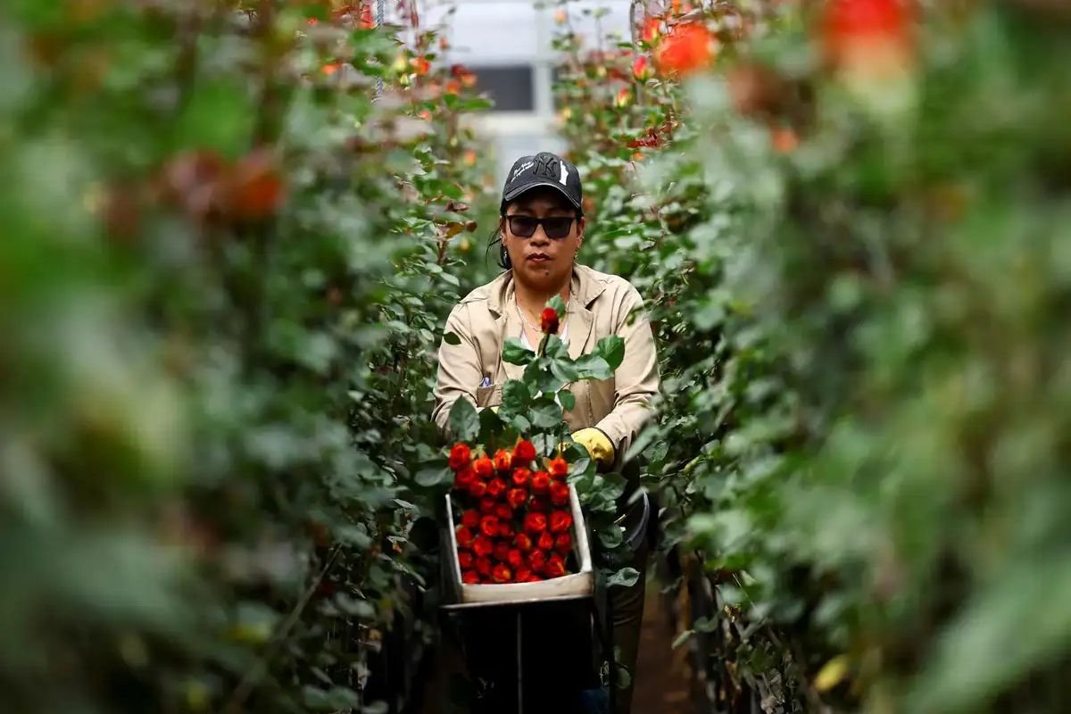 From Local Market to Storefront The Growth of Berry & Bloom Florist