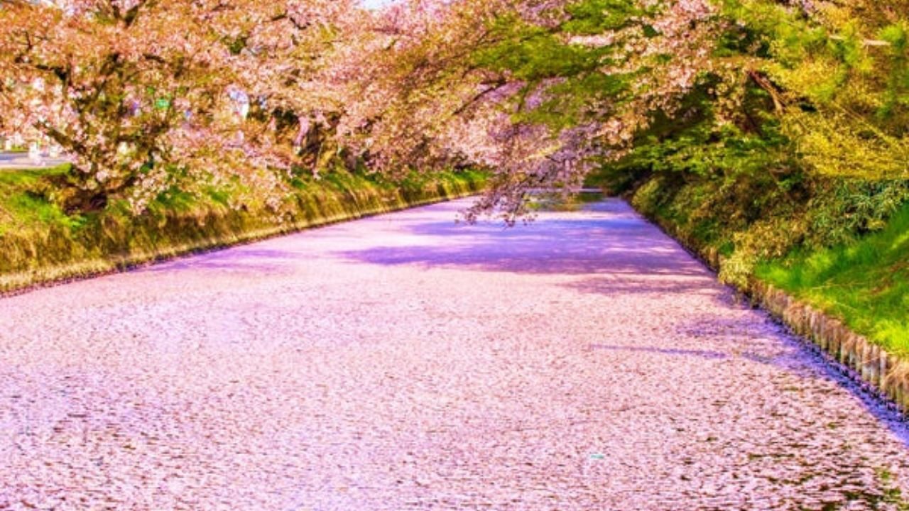 Watchung Spring Festival Highlights and Attractions You Can’t Miss