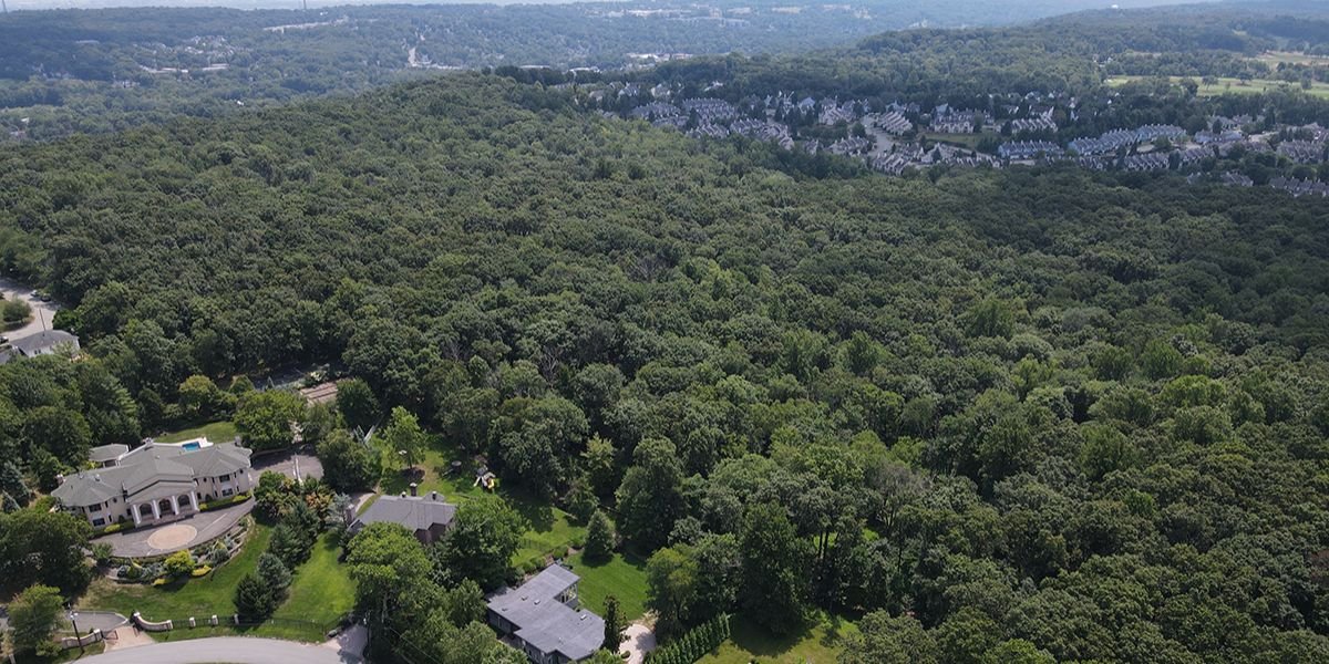 Why Watchung’s Unique Blend of Suburban Life and Nature Makes It Special